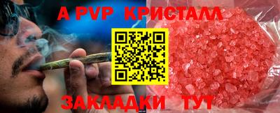 спайс Кинель