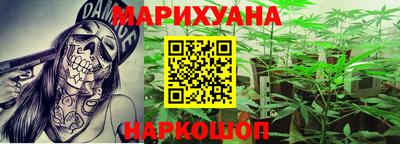прущие грибы Кингисепп