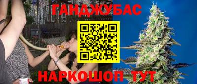 гидра Кимры