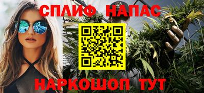 прущие грибы Кингисепп