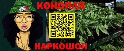 гидра Кимры