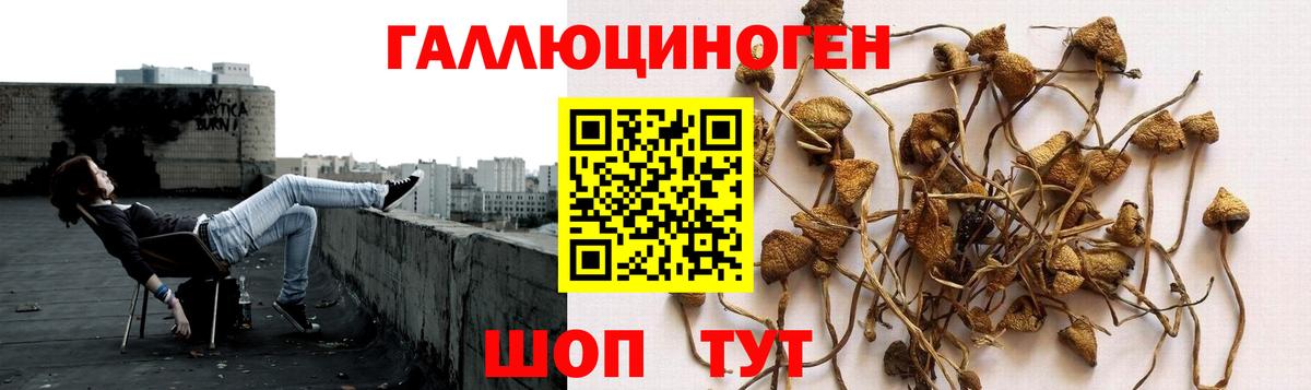 Котлас  Галлюциногенные грибы мицелий  Вход с VPN  Псилоцибиновые грибы мухоморы 